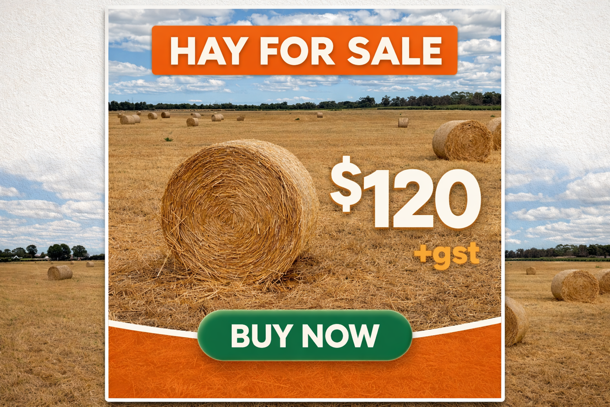 Premium Round Hay Bale